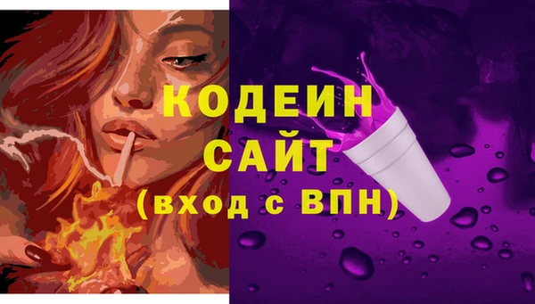 индика Верея